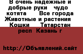 В очень надежные и добрые руки - чудо - котята!!! - Все города Животные и растения » Кошки   . Татарстан респ.,Казань г.